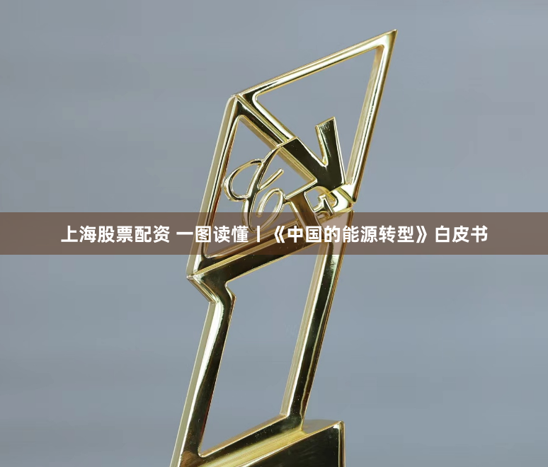上海股票配资 一图读懂丨《中国的能源转型》白皮书