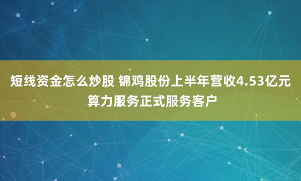 短线资金怎么炒股 锦鸡股份上半年营收4.53亿元 算力服务正式服务客户