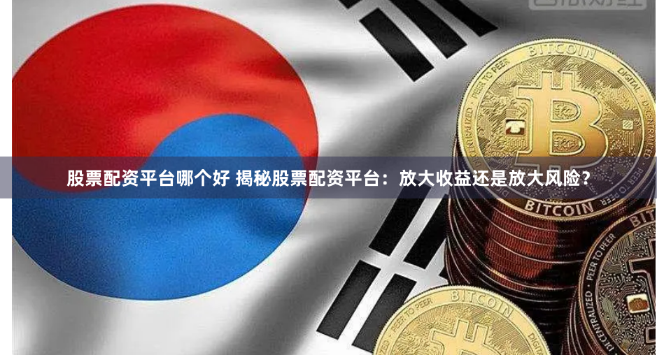 股票配资平台哪个好 揭秘股票配资平台：放大收益还是放大风险？