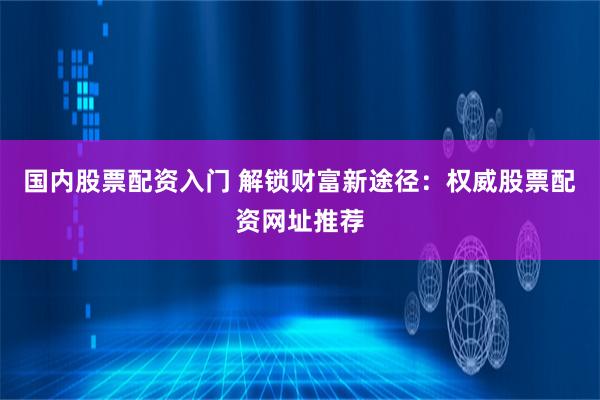 国内股票配资入门 解锁财富新途径：权威股票配资网址推荐