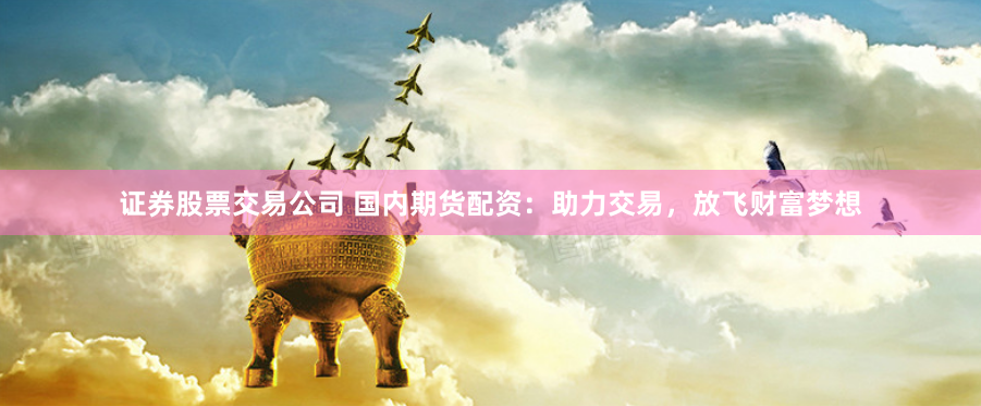 证券股票交易公司 国内期货配资：助力交易，放飞财富梦想